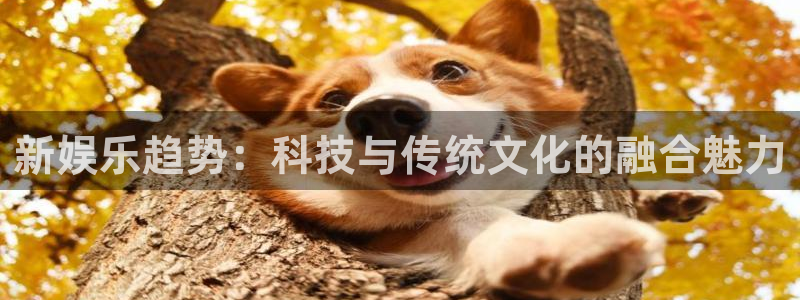众腾娱乐