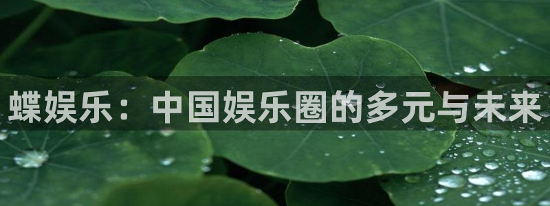 众腾娱乐